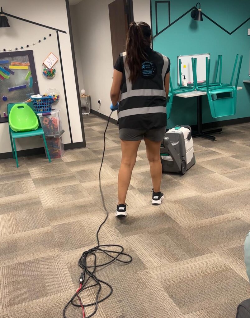 Professional Carpet Cleaning Service Aurora IL - Chavira 365