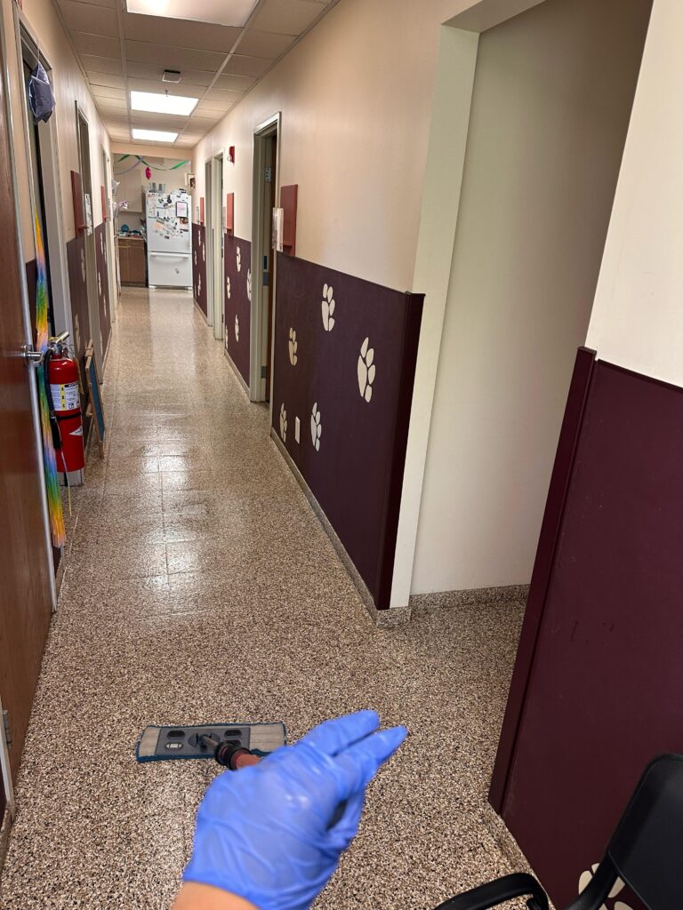 Professional School Cleaning Services