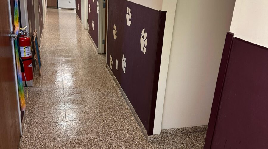 Professional Janitorial Service Chavira 365 Solutions